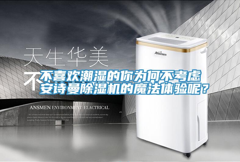 不喜歡潮濕的你為何不考慮安詩曼除濕機的魔法體驗呢？