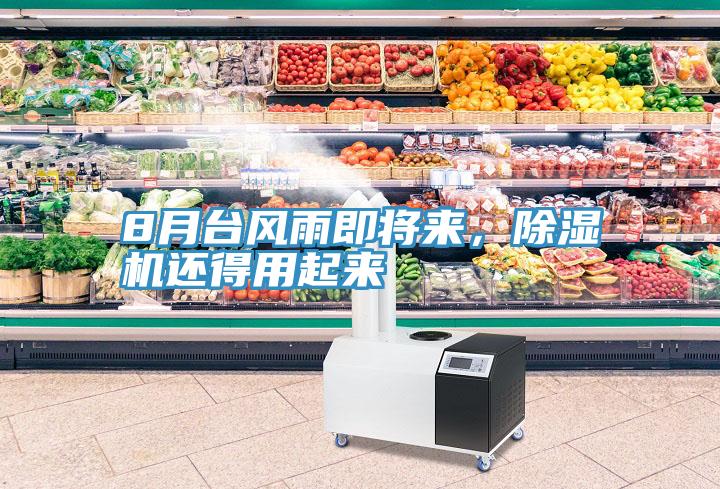 8月臺(tái)風(fēng)雨即將來(lái),除濕機(jī)還得用起來(lái)