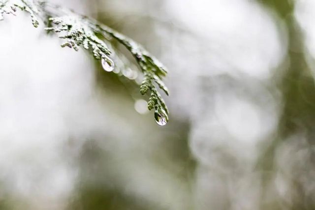 空氣濕度大帶來的危害有哪些，你知道嗎？