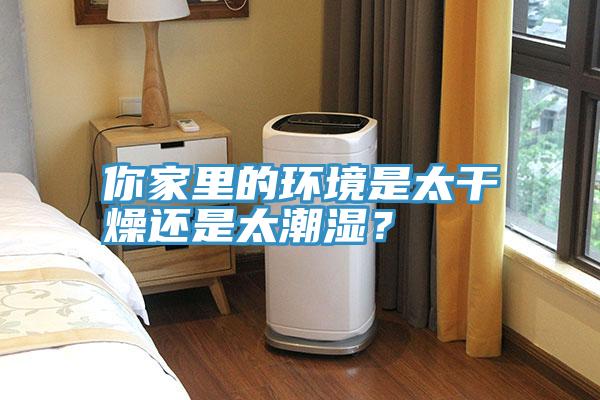 你家里的環境是太干燥還是太潮濕？
