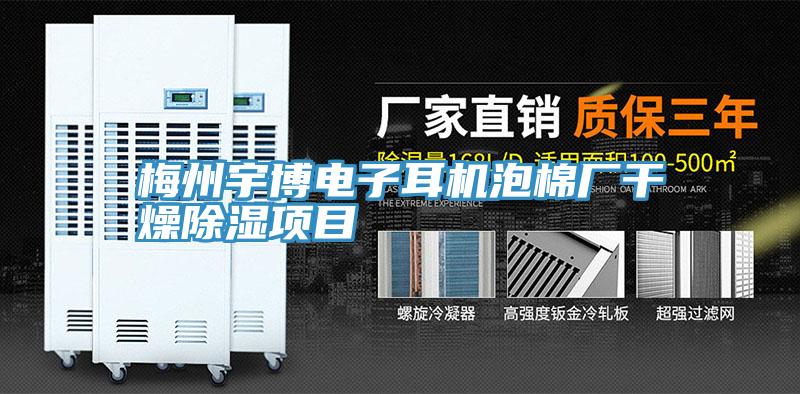 梅州宇博電子耳機(jī)泡棉廠干燥除濕項目