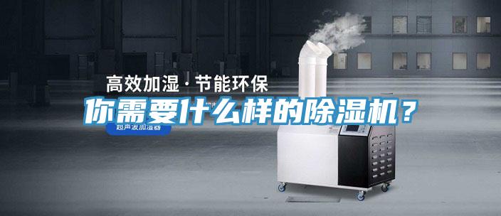 你需要什么樣的除濕機?