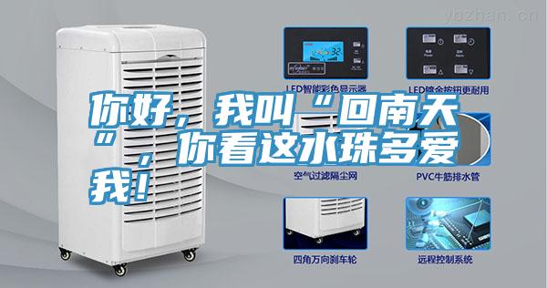 你好，我叫“回南天”，你看這水珠多愛我！