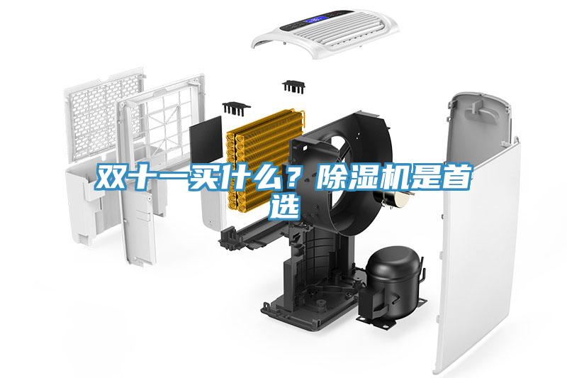 雙十一買(mǎi)什么？除濕機(jī)是首選