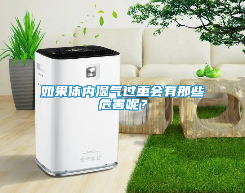 如果體內(nèi)濕氣過(guò)重會(huì)有那些危害呢？