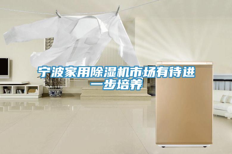 寧波家用除濕機市場有待進一步培養