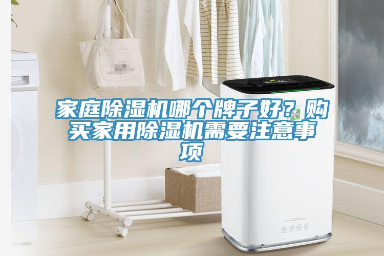 家庭除濕機哪個牌子好？購買家用除濕機需要注意事項