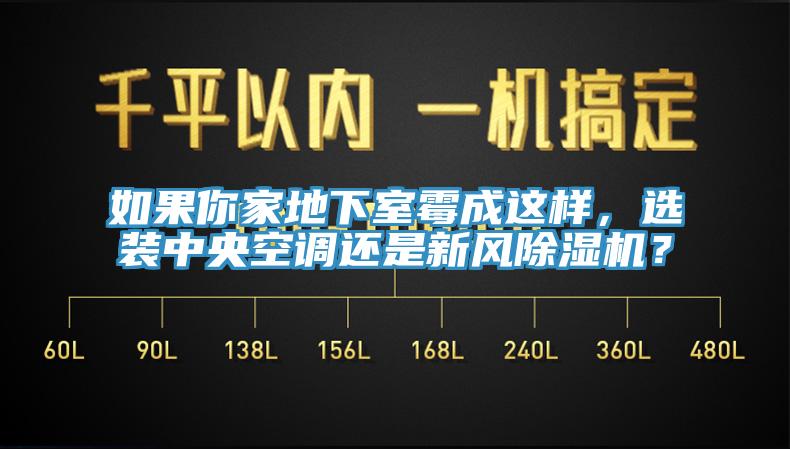 如果你家地下室霉成這樣，選裝中央空調(diào)還是新風(fēng)除濕機(jī)？