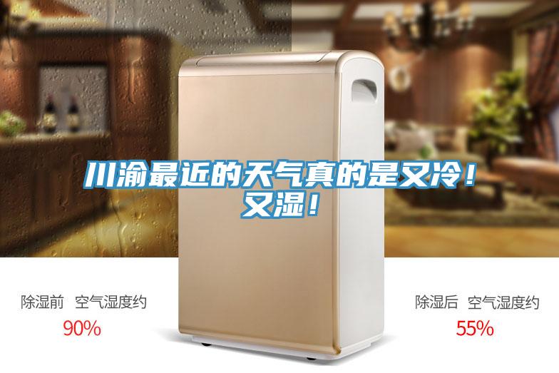 川渝最近的天氣真的是又冷！又濕！