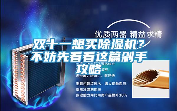 雙十一想買(mǎi)除濕機(jī)？不妨先看看這篇剁手攻略