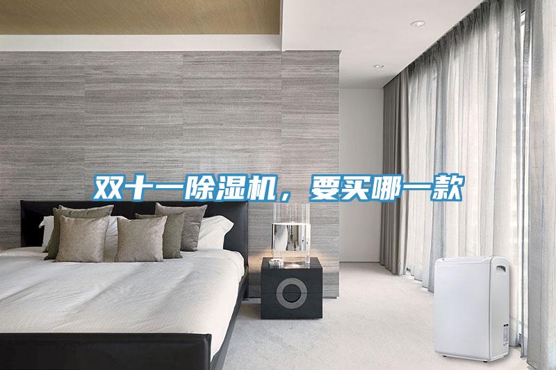 雙十一除濕機，要買哪一款