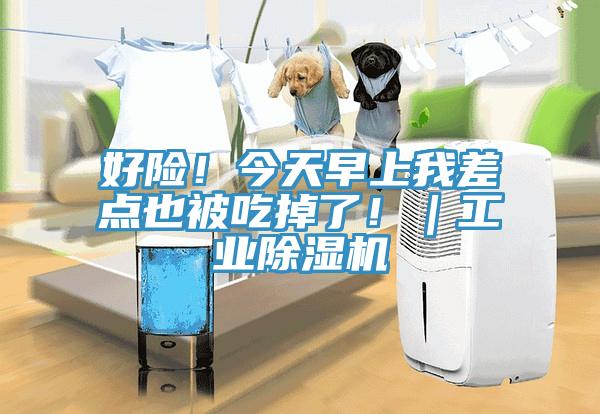 好險！今天早上我差點也被吃掉了！｜工業除濕機