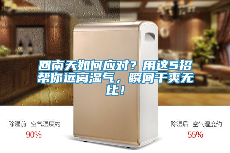 回南天如何應對？用這5招幫你遠離濕氣，瞬間干爽無比！
