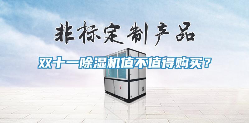 雙十一除濕機(jī)值不值得購(gòu)買(mǎi)？