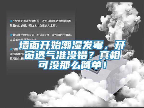 墻面開始潮濕發(fā)霉，開窗透氣準沒錯？真相可沒那么簡單！