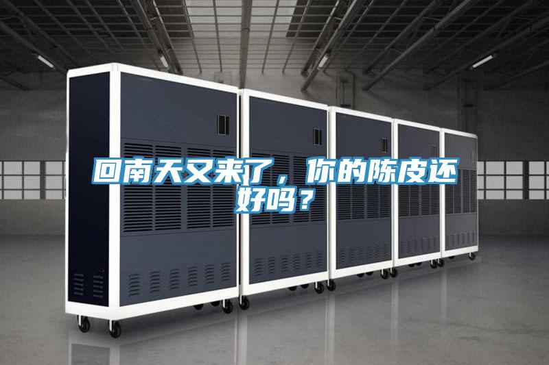 回南天又來(lái)了，你的陳皮還好嗎？