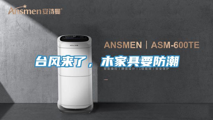 臺風來了,木家具要防潮