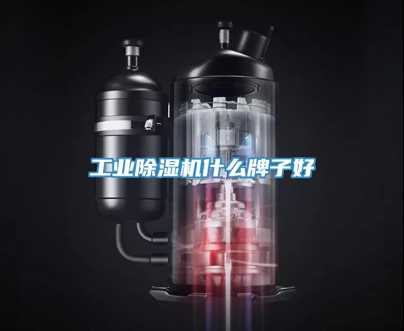 工業(yè)除濕機什么牌子好