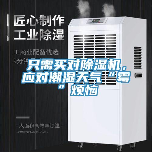 只需買對除濕機，應對潮濕天氣“霉”煩惱