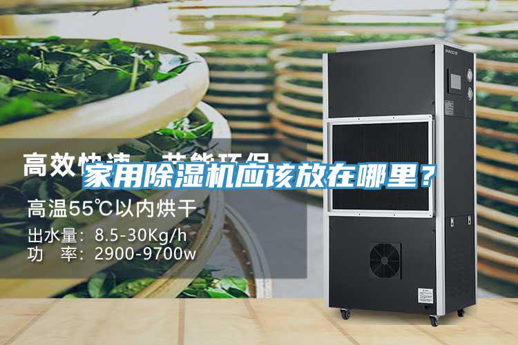 家用除濕機應(yīng)該放在哪里？