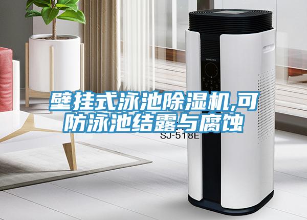 壁掛式泳池除濕機,可防泳池結(jié)露與腐蝕