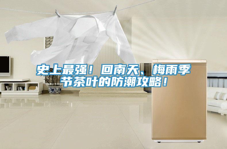 史上最強！回南天、梅雨季節茶葉的防潮攻略！