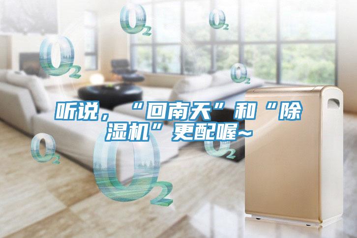 聽說,“回南天”和“除濕機”更配喔~