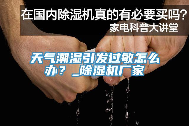 天氣潮濕引發(fā)過(guò)敏怎么辦？_除濕機(jī)廠家