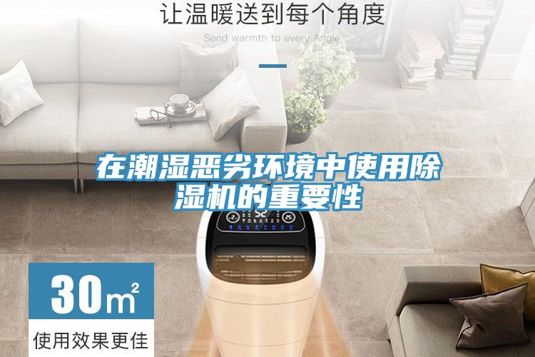 在潮濕惡劣環境中使用除濕機的重要性
