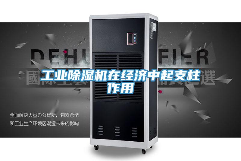 工業除濕機在經濟中起支柱作用