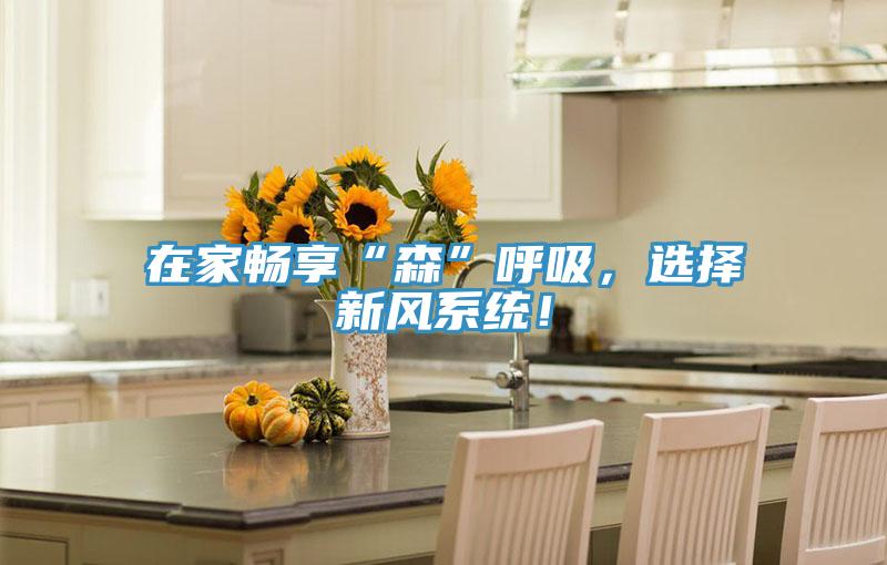 在家暢享“森”呼吸,選擇新風系統!