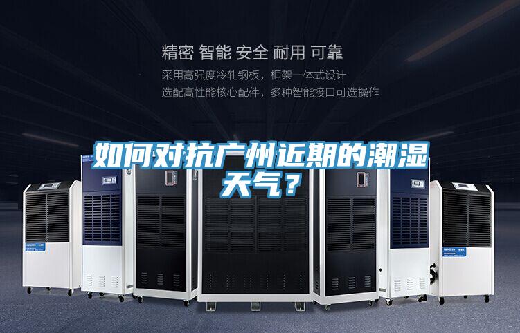 如何對抗廣州近期的潮濕天氣？