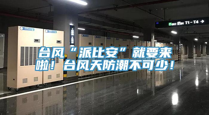 臺風“派比安”就要來啦!臺風天防潮不可少!