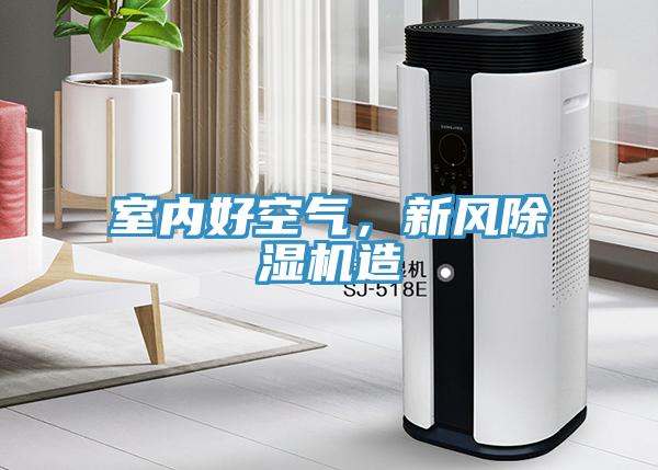 室內(nèi)好空氣，新風(fēng)除濕機造