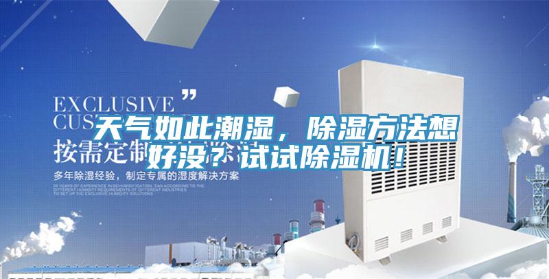 天氣如此潮濕，除濕方法想好沒？試試除濕機！
