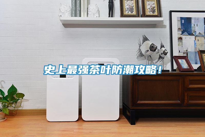 史上最強茶葉防潮攻略!