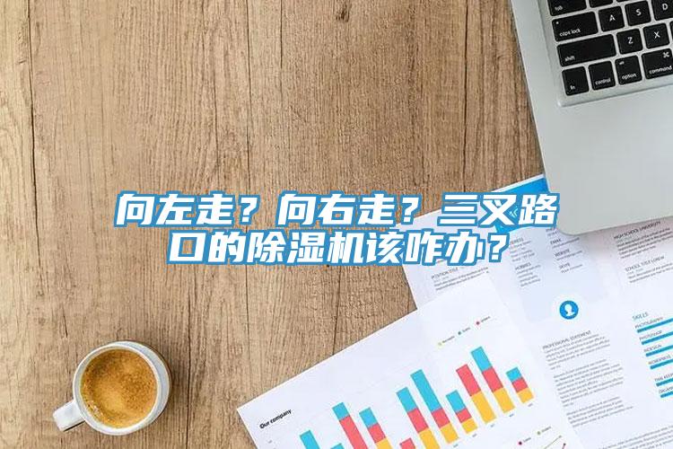 向左走?向右走?三叉路口的除濕機該咋辦?