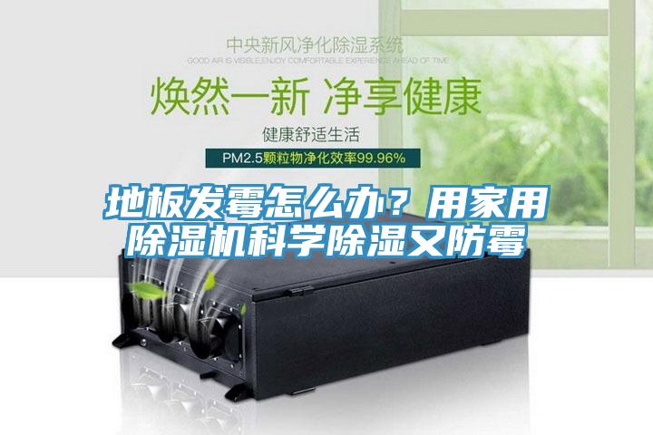 地板發(fā)霉怎么辦？用家用除濕機(jī)科學(xué)除濕又防霉