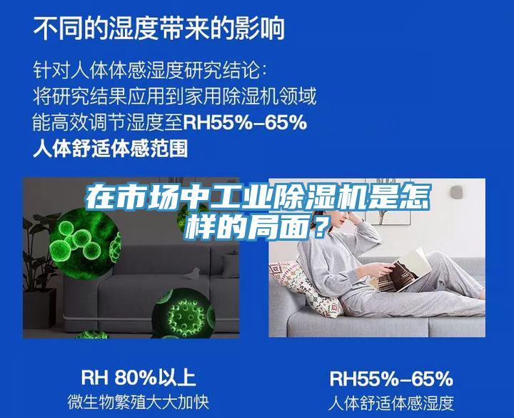 在市場中工業除濕機是怎樣的局面？