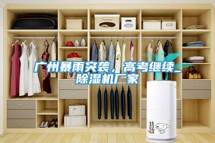 廣州暴雨突襲，高考繼續_除濕機廠家