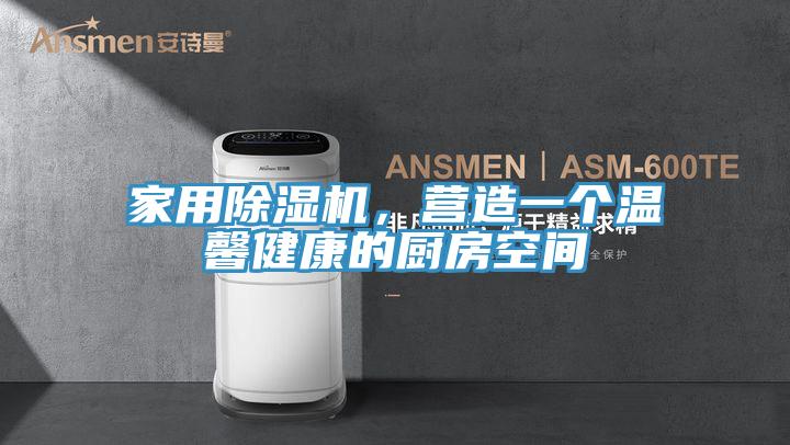 家用除濕機，營造一個溫馨健康的廚房空間