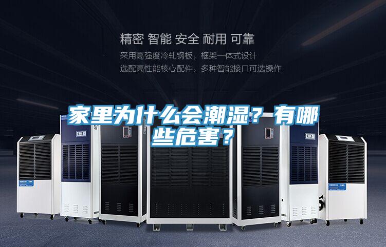 家里為什么會潮濕？有哪些危害？