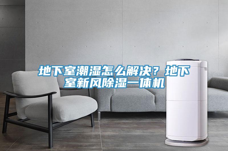 地下室潮濕怎么解決?地下室新風(fēng)除濕一體機(jī)