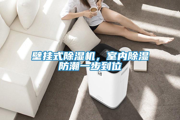 壁掛式除濕機，室內(nèi)除濕防潮一步到位