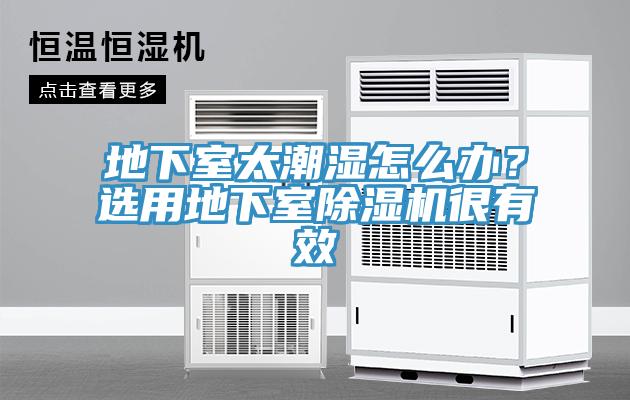 地下室太潮濕怎么辦？選用地下室除濕機(jī)很有效