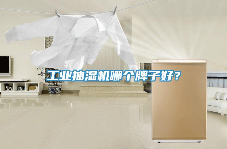 工業抽濕機哪個牌子好？