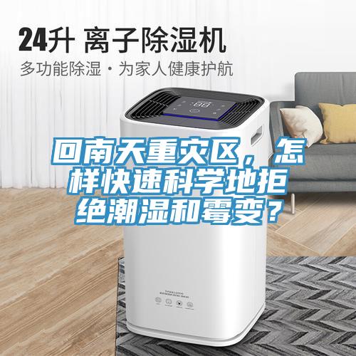 回南天重災區，怎樣快速科學地拒絕潮濕和霉變？