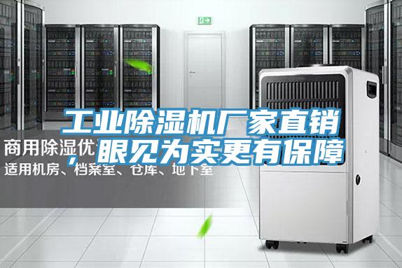 工業(yè)除濕機(jī)廠(chǎng)家直銷(xiāo),眼見(jiàn)為實(shí)更有保障