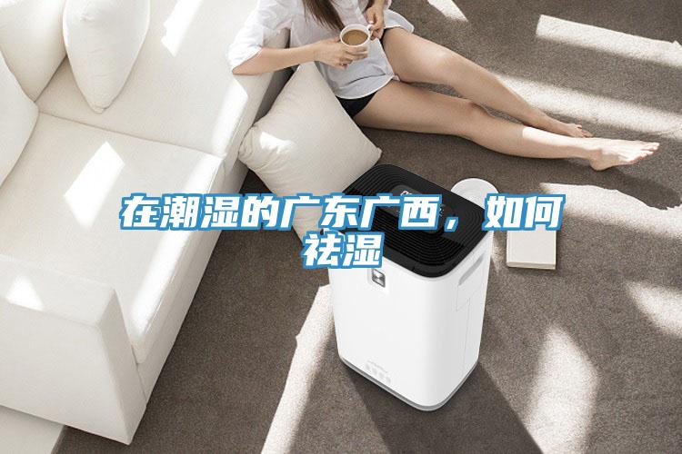 在潮濕的廣東廣西，如何祛濕