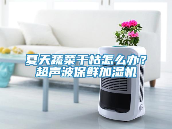 夏天蔬菜干枯怎么辦？超聲波保鮮加濕機